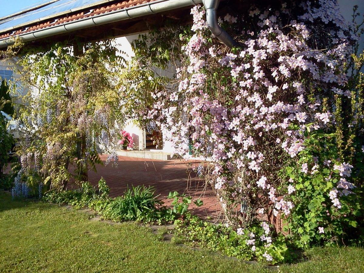 Ferienwohnung Buxheim  Exterior photo